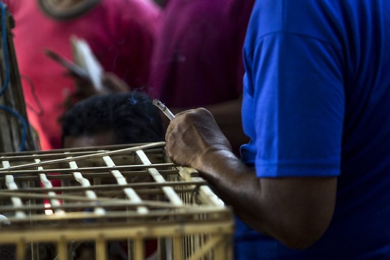 Rokok Adalah Penyebab Stunting?