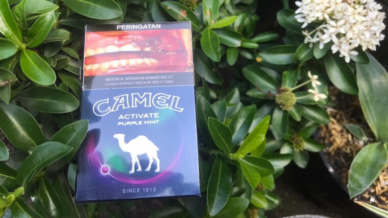 Rokok camel