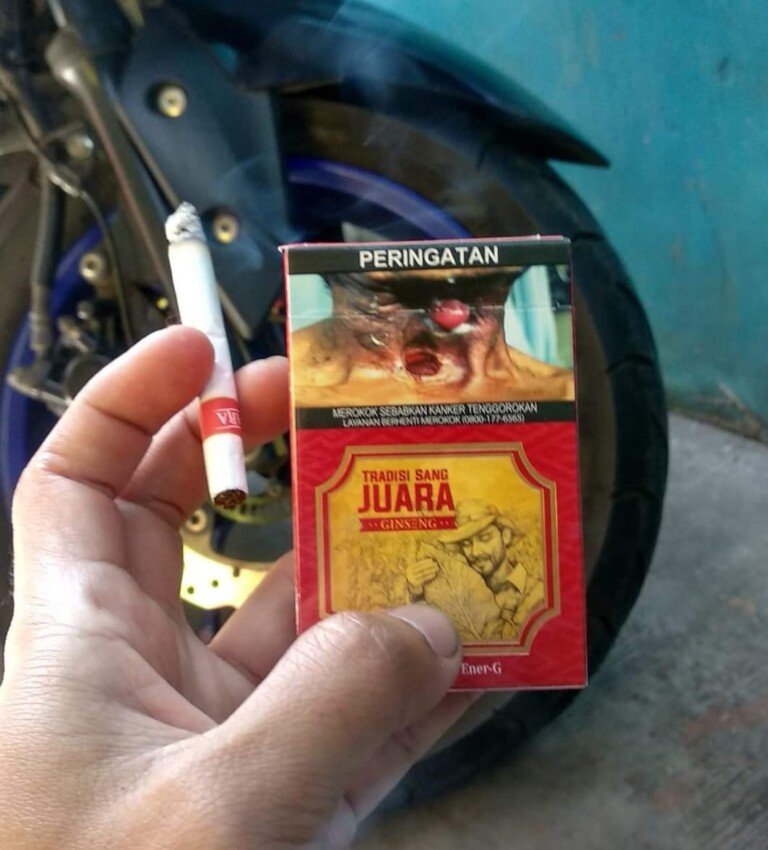 rokok juara ginseng