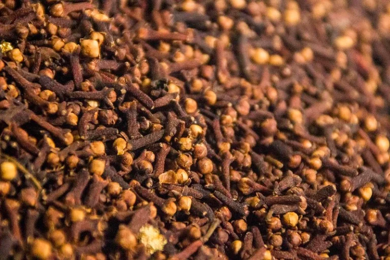 cengkeh, campuran untuk tingwe