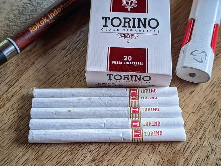 kretekus sejati pipa rokok