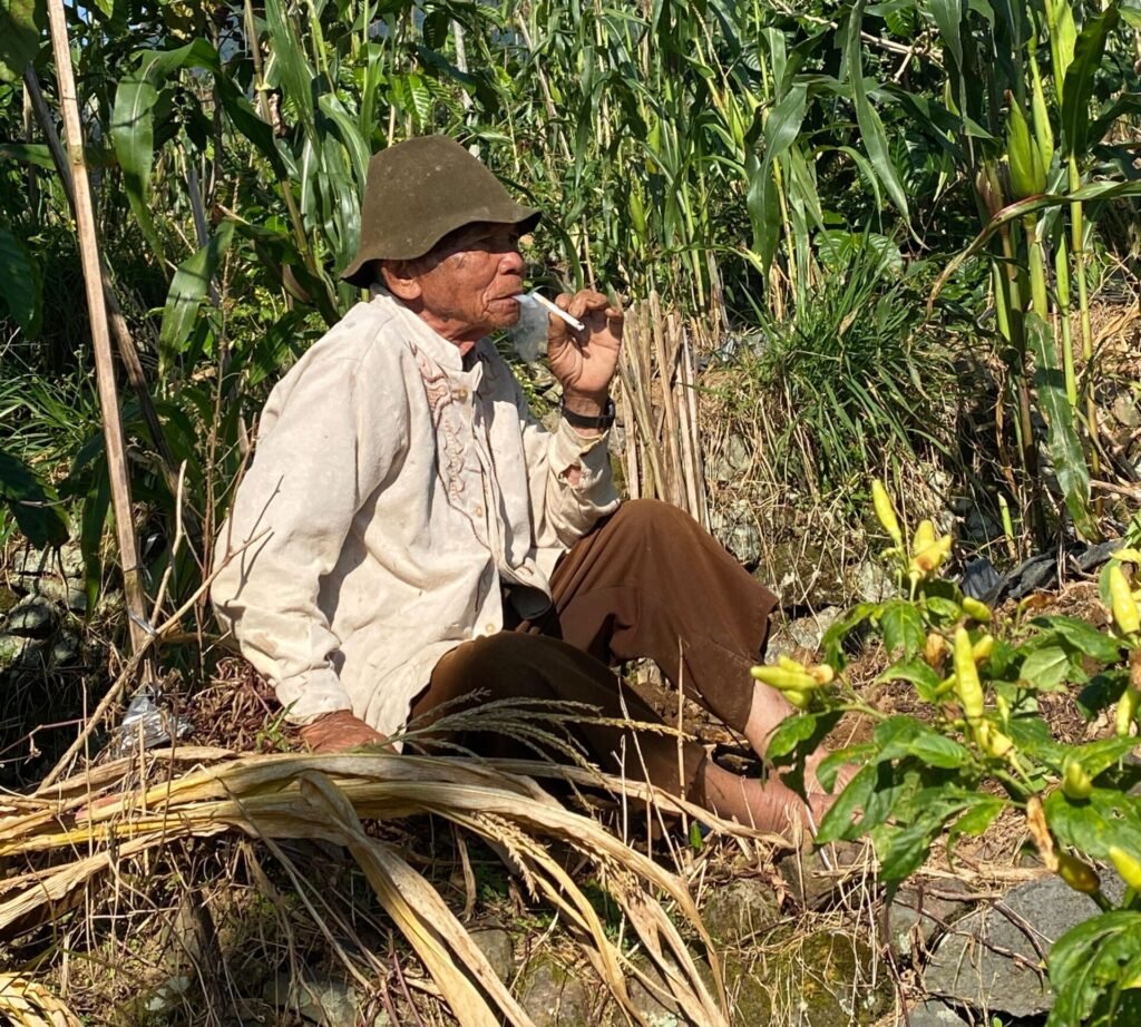 Tembakau jadi kekuatan hidup warga Legoksari Temanggung Komunitas Kretek