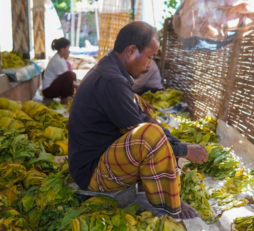 Mengulik Tembakau Tambeng MOJOK.CO