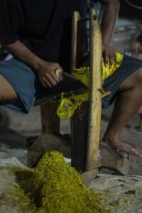 Proses merajang Tembakau Tambeng Komunitas Kretek