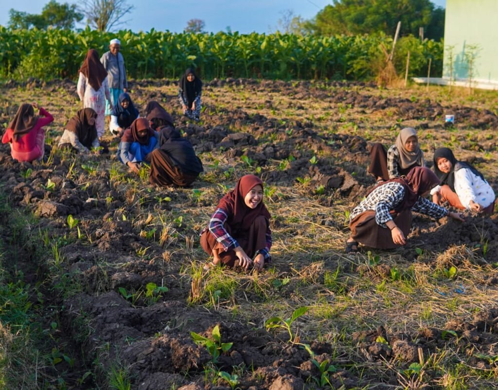 Para santri menanam tembakau Komunitas Kretek