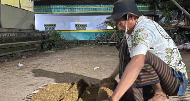 Proses melipat tembakau Tambeng Komunitas Kretek