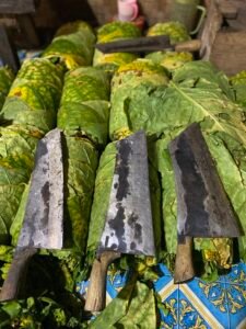 Cinisti Garut, desa para perajang tembakau handal Komunitas Kretek