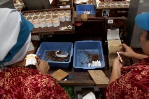 krisis di indonesia sudah mencemaskan