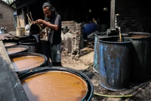 ciu bekonang jadi warisan budaya takbenda