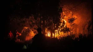 Perbandingan Karhutla Palangka Raya Kalimantan Tidak Sebanding dengan Merokok 10,8 Sehari
