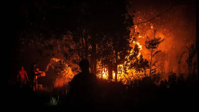 Perbandingan Karhutla Palangka Raya Kalimantan Tidak Sebanding dengan Merokok 10,8 Sehari